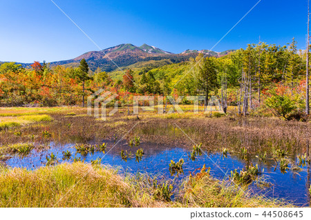 （長野縣）秋天Norikura高地道場池塘 44508645