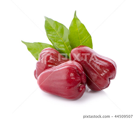 Rose apples isolated on white background. Rose apples isolated on white background. 44509507