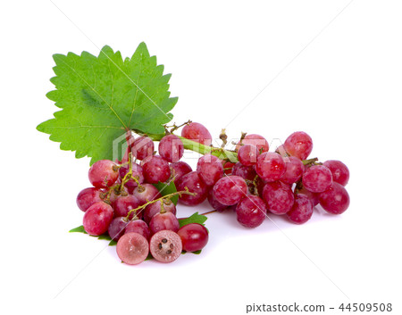 grapes isolated on over white background grapes isolated on over white background 44509508