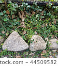 石 44509582