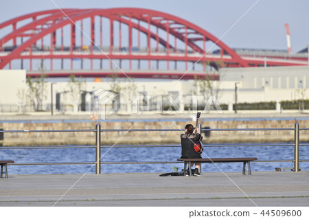 Guitar practice on a bench in a seaside park 44509600