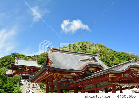 鎌倉·鶴岡八幡宮 鎌倉·鶴岡八幡宮 44509690