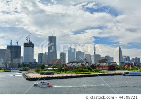 Yokohama  44509721