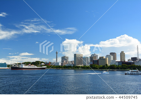 Yokohama Yokohama 44509745