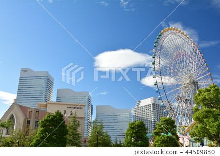 Yokohama Yokohama 44509830