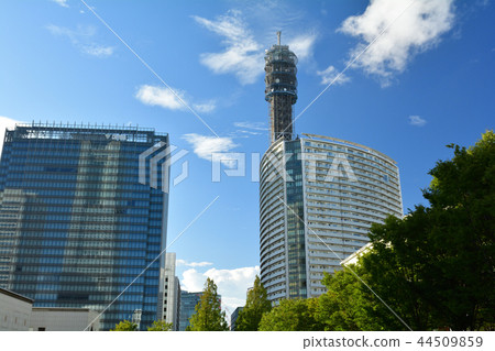 Yokohama Yokohama 44509859