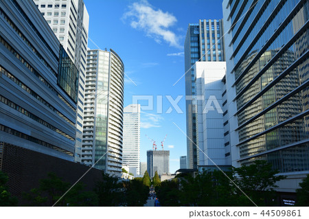 Yokohama Yokohama 44509861