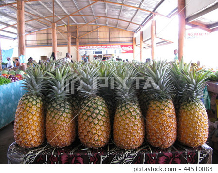斐濟市場菠蘿旅遊 斐濟市場菠蘿旅遊 44510083