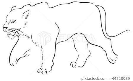 stroke vector hand drawn illustration with tiger stroke vector hand drawn illustration with tiger 44510089