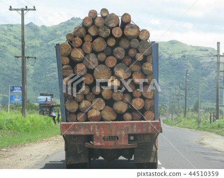 斐濟旅遊車窗風景卡車裝滿木材 44510359