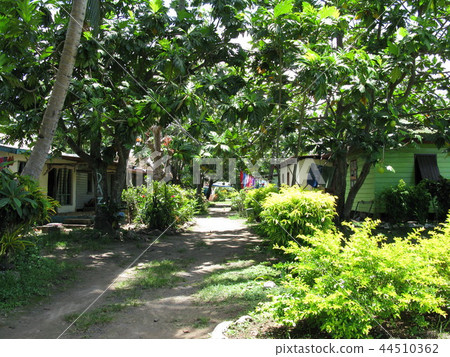 斐濟旅遊觀點的Viseisei村莊Pan樹 44510362