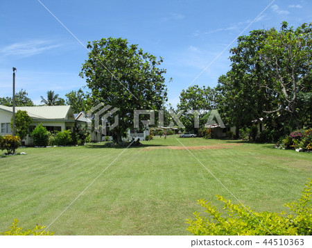 斐濟旅遊觀點的Viseisei村莊Pan樹 44510363