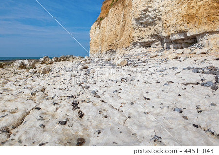 White chalk cliffs in Seaford Head White chalk cliffs in Seaford Head 44511043