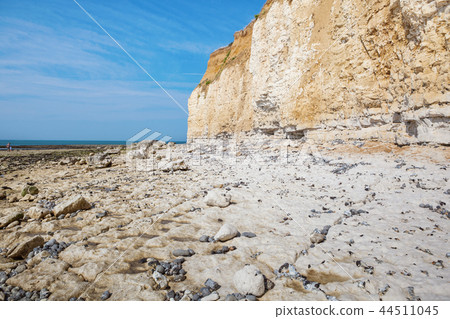 White chalk cliffs in Seaford Head White chalk cliffs in Seaford Head 44511045
