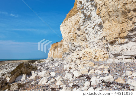 White chalk cliffs in Seaford Head White chalk cliffs in Seaford Head 44511056