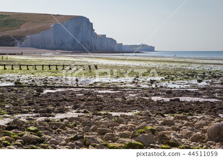 Chalk cliffs, path, Seaford Head Chalk cliffs, path, Seaford Head 44511059
