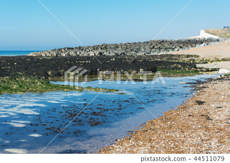 Coastal walk in Saltdean, England 44511079