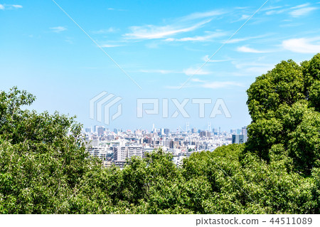 新鮮的綠色和城市景觀 44511089