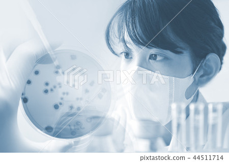 研究圖像微生物測試 44511714