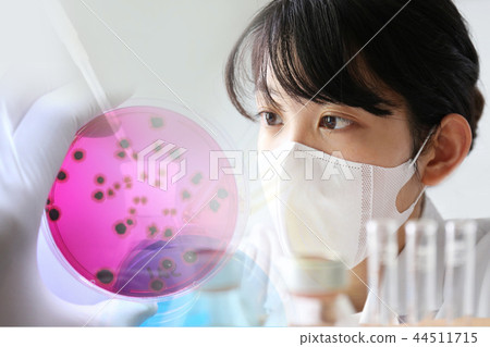 研究圖像微生物測試 44511715