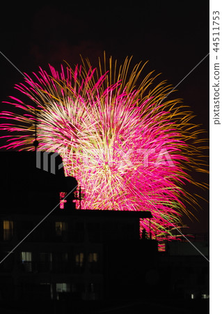 The last Tamagawa Fireworks Festival in the Heisei Era The last Tamagawa Fireworks Festival in the Heisei Era 44511753