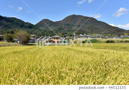 Nikamiyama Nikamiyama 44512155