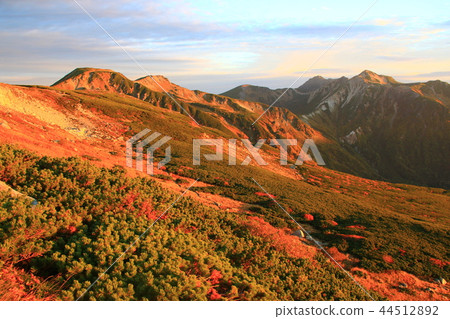 Northern Alps morning glow 44512892