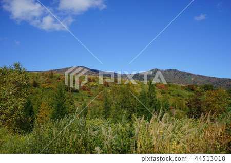 八幡平松尾礦的踪跡 44513010