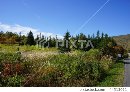 八幡平松尾礦的踪跡 44513011