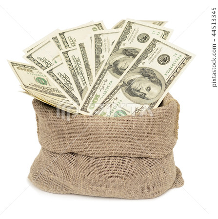 dollars in bag dollars in bag 44513345