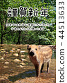 New Year's card 44513633
