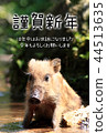 New Year's card 44513635