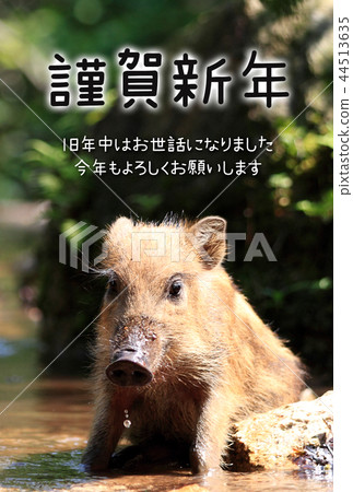新年賀卡 新年賀卡 44513635
