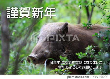 新年賀卡 新年賀卡 44513636