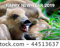 New Year's card 44513637