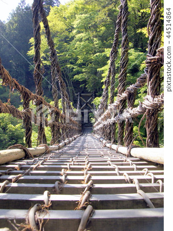 懸索橋 44514864
