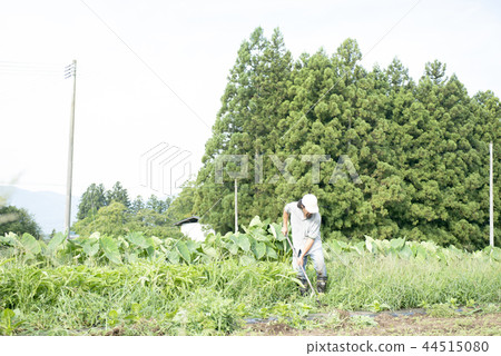 經營農業的人 44515080