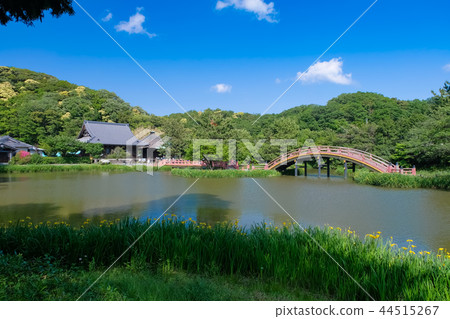 橫濱市Hennaji寺 橫濱市Hennaji寺 44515267