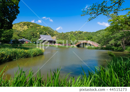 橫濱市Hennaji寺 44515273