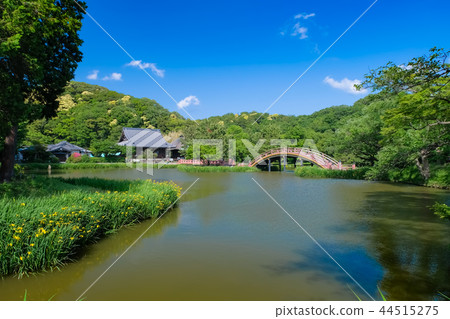 橫濱市Hennaji寺 橫濱市Hennaji寺 44515275