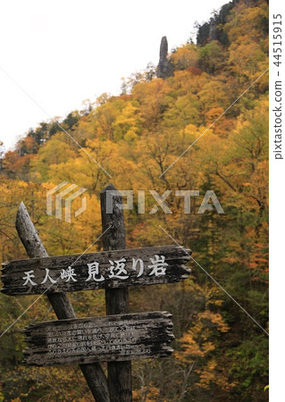Rock of the autumn leaves Rock of the autumn leaves 44515915