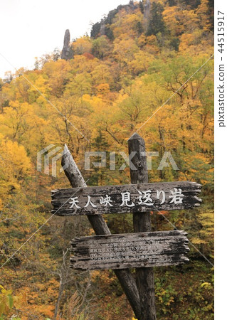 Rock of the autumn leaves Rock of the autumn leaves 44515917
