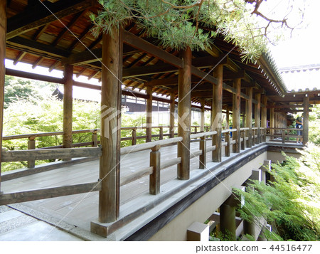 Tofuku-ji Temple green of Tsutenbashi in early summer 44516477