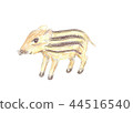 boar  44516540
