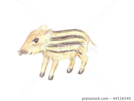 boar boar 44516540