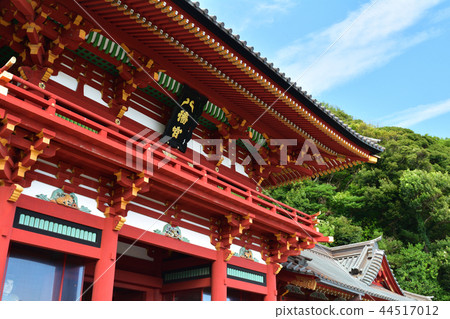 鎌倉·鶴岡八幡宮 鎌倉·鶴岡八幡宮 44517012