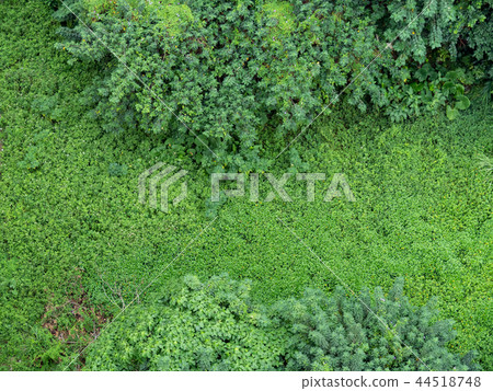 Aerial View 44518748