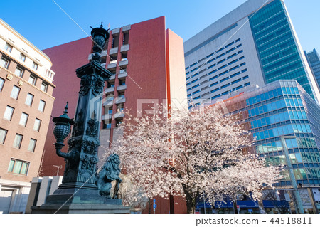 日本橋在春天 日本橋在春天 44518811