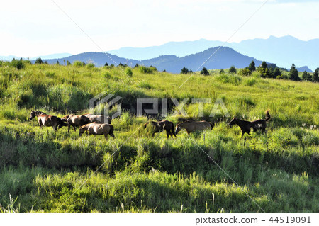 Aso Sommasan, a superb view of the beautiful sky 44519091