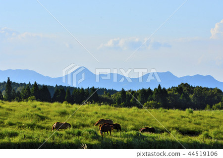 阿蘇·松瑪山(Aso Sommasan),美麗的天空一覽無餘 阿蘇·松瑪山(Aso Sommasan),美麗的天空一覽無餘 44519106